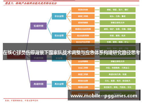 在核心球员伤停背景下国家队战术调整与应急体系构建研究路径思考 在核心球员伤停背景下国家队战术调整与应急体系构建研究路径思考
