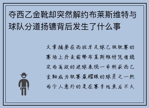 夺西乙金靴却突然解约布莱斯维特与球队分道扬镳背后发生了什么事